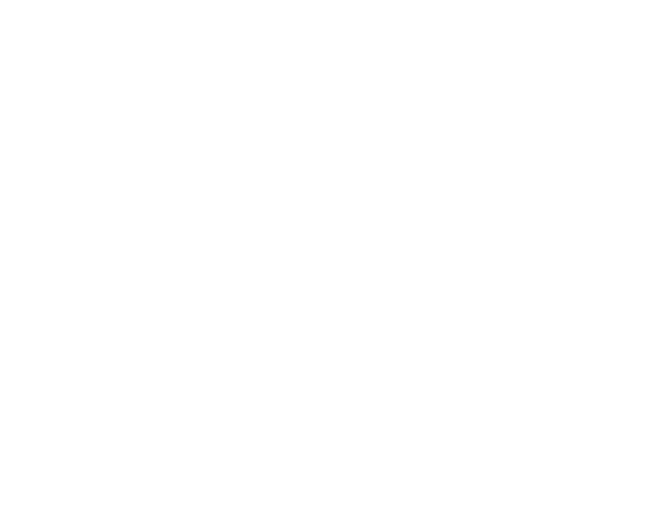 The Boneyard